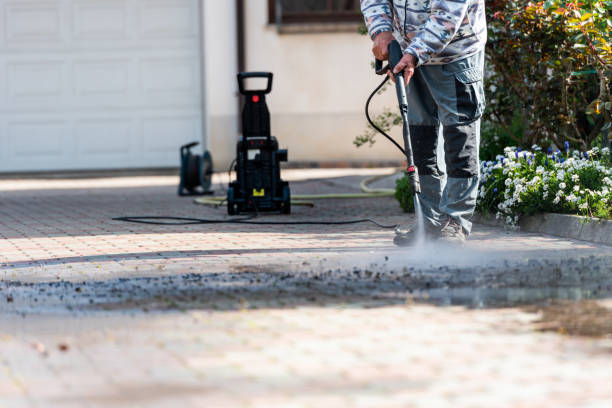 Best Pressure Washing Services for Businesses  in Dodge Center, MN