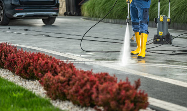 Pressure Washing Services for Businesses in Dodge Center, MN