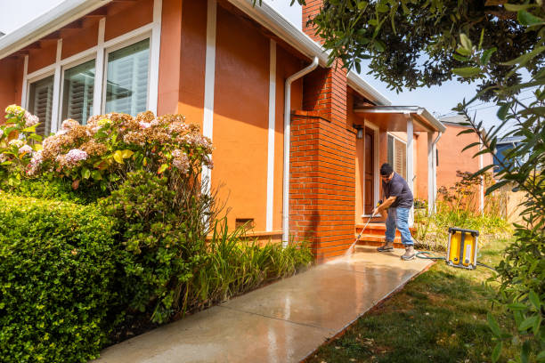 Best Roof Power Washing Services  in Dodge Center, MN