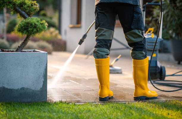 Best Power Washing Near Me  in Dodge Center, MN